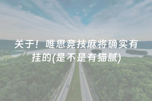 关于！唯思竞技麻将确实有挂的(是不是有猫腻)