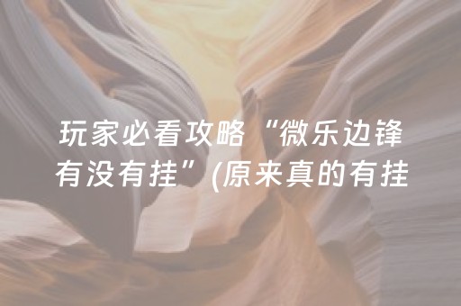 玩家必看攻略“微乐边锋有没有挂”(原来真的有挂)-抖音