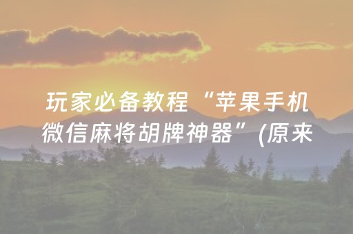 玩家必备教程“苹果手机微信麻将胡牌神器”(原来真的有挂)-抖音
