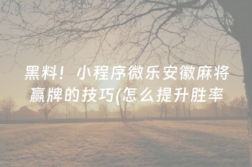 黑料！小程序微乐安徽麻将赢牌的技巧(怎么提升胜率)