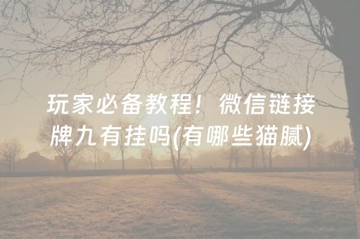 玩家必备教程！微信链接牌九有挂吗(有哪些猫腻)