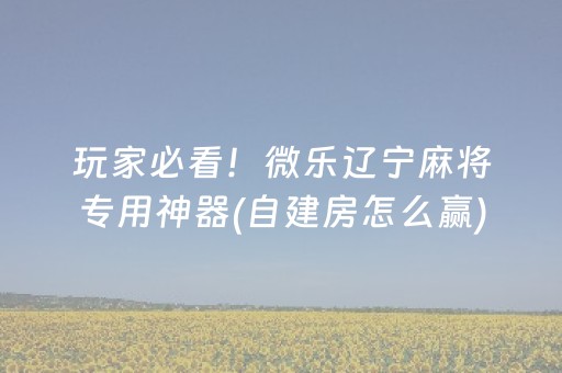 玩家必看！微乐辽宁麻将专用神器(自建房怎么赢)