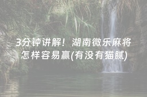 3分钟讲解！湖南微乐麻将怎样容易赢(有没有猫腻)