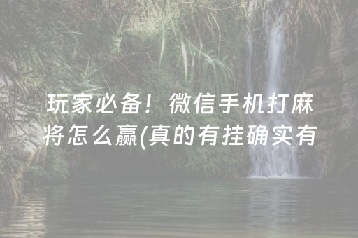 玩家必备！微信手机打麻将怎么赢(真的有挂确实有挂)