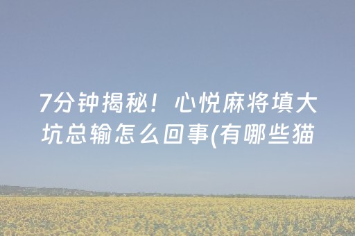 7分钟揭秘！心悦麻将填大坑总输怎么回事(有哪些猫腻)