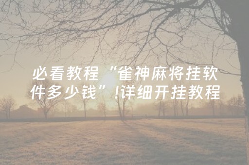 必看教程“雀神麻将挂软件多少钱”!详细开挂教程-抖音