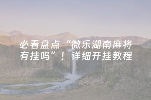 必看盘点“微乐湖南麻将有挂吗”！详细开挂教程（确实真的有挂)-抖音