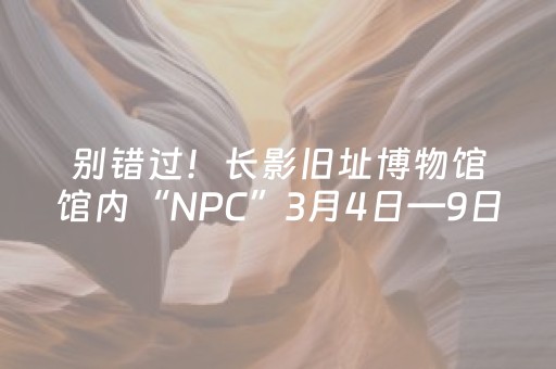 教程辅助“打牌开挂软件（专用辅牌神器免安装）