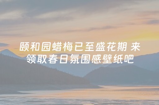 教程辅助“手机金花辅助器通用版苹果（助赢神器通用版）