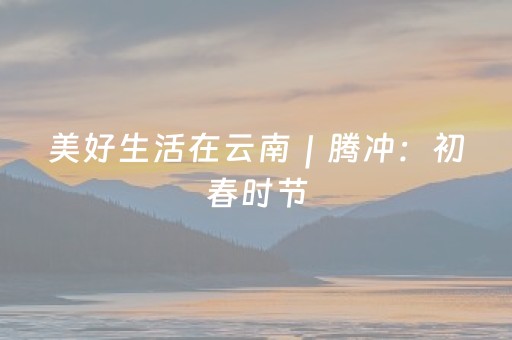 教程辅助“微信拼三张辅助软件（助赢神器通用版）