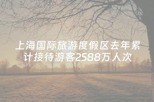 玩家必备教程“开心泉州麻将外辅工具（专用辅牌神器免安装）