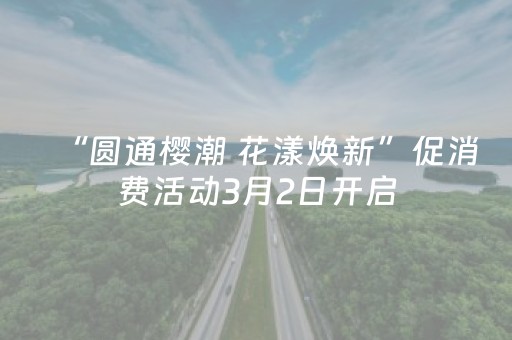 胜率设置方法“情怀麻将怎么设置才能一直赢（助赢神器通用版）