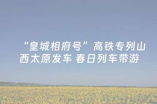 实测教程“微乐开挂神器（专用辅牌神器免安装）