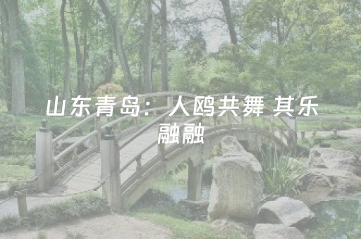 必看教程“吉祥麻将铺牌器购买”（详细透视教程）-哔哩哔哩