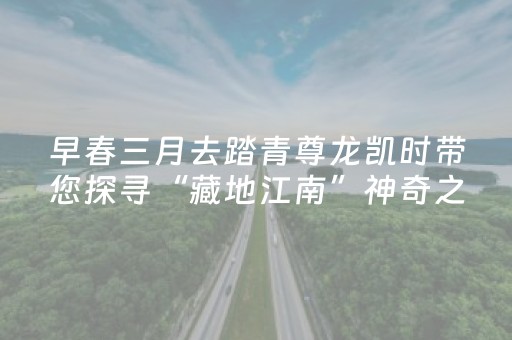 分享辅助“麻将十打九赢 黑科技 破解方法”（详细透视教程）-哔哩哔哩