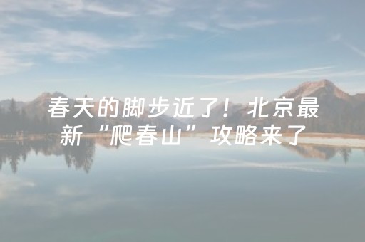 教程辅助“微信红包尾数概率看穿”（详细透视教程）-哔哩哔哩