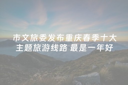 3分钟学会“米友红包三公点数控制”（详细透视教程）-哔哩哔哩