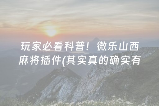 实测辅助“陕麻圈捉老麻辅助器（助赢神器通用版）