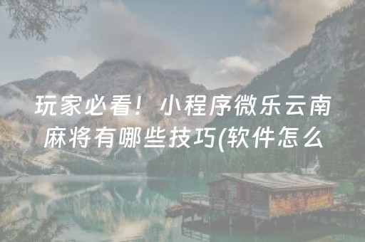玩家必看！小程序微乐云南麻将有哪些技巧(软件怎么打赢)