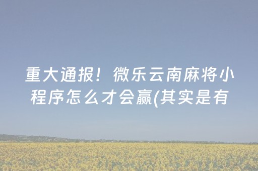 重大通报！微乐云南麻将小程序怎么才会赢(其实是有挂的)