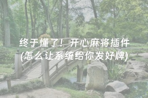 终于懂了！开心麻将插件(怎么让系统给你发好牌)