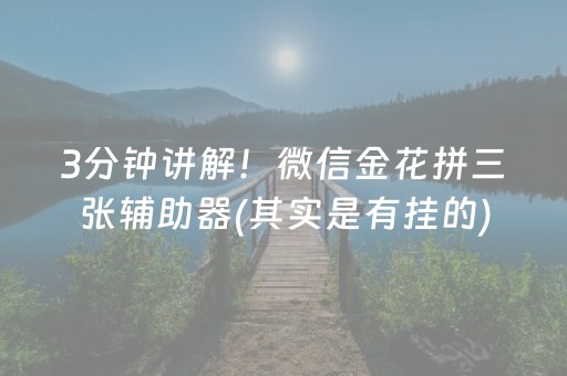 3分钟讲解！微信金花拼三张辅助器(其实是有挂的)