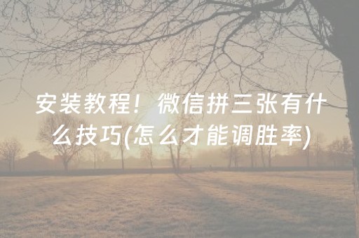 玩家必看攻略“微乐家乡麻将怎么让系统发好牌（助赢神器通用版）