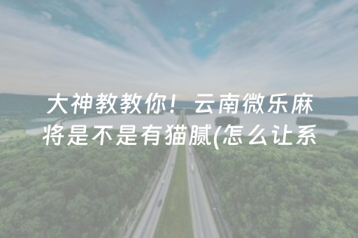 大神教教你！云南微乐麻将是不是有猫腻(怎么让系统发好牌)