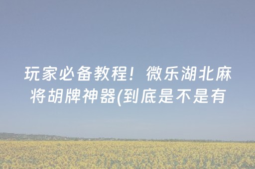 教程辅助“微信麻将做弊器软件是真的吗（专用辅牌神器免安装）