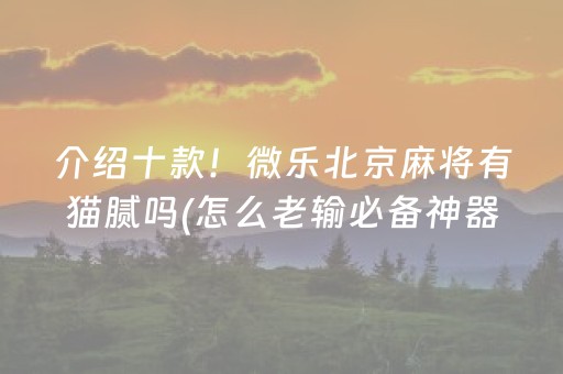 介绍十款！微乐北京麻将有猫腻吗(怎么老输必备神器)