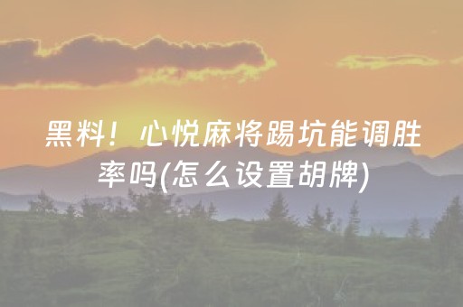 黑料！心悦麻将踢坑能调胜率吗(怎么设置胡牌)