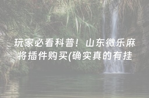 玩家必看科普！山东微乐麻将插件购买(确实真的有挂)
