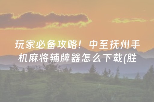 玩家必备攻略！中至抚州手机麻将辅牌器怎么下载(胜率到哪调)