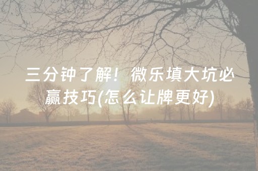 三分钟了解！微乐填大坑必赢技巧(怎么让牌更好)