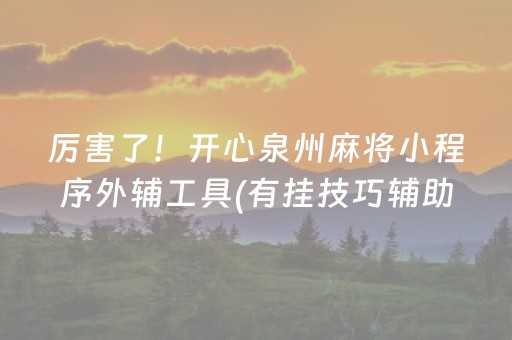厉害了！开心泉州麻将小程序外辅工具(有挂技巧辅助器)