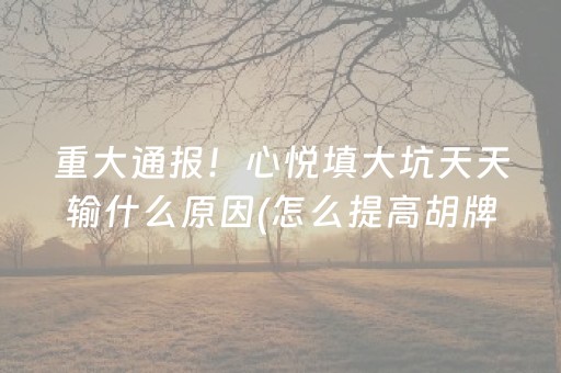 重大通报！心悦填大坑天天输什么原因(怎么提高胡牌率)