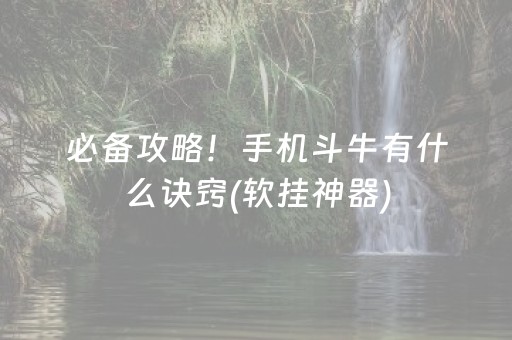 必备攻略！手机斗牛有什么诀窍(软挂神器)