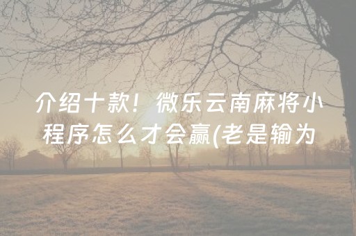 介绍十款！微乐云南麻将小程序怎么才会赢(老是输为什么)
