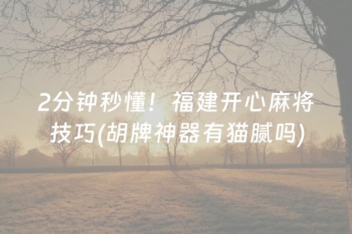 2分钟秒懂！福建开心麻将技巧(胡牌神器有猫腻吗)