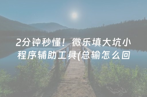 2分钟秒懂！微乐填大坑小程序辅助工具(总输怎么回事)