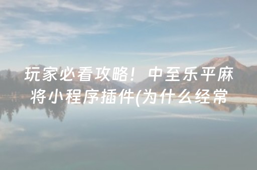 实测分享“牵手跑胡子外挂怎么装”（详细透视教程）-哔哩哔哩