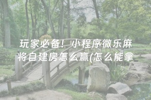 必看教程“微乐海南麻将胡牌器”（详细透视教程）-哔哩哔哩