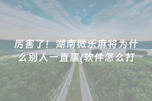 厉害了！湖南微乐麻将为什么别人一直赢(软件怎么打赢)