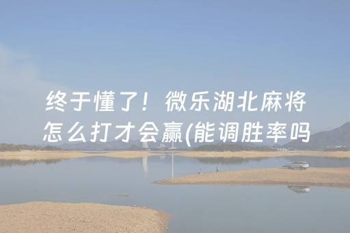 终于发现“微信抢红包是不是有埋雷开挂软件”（详细透视教程）-哔哩哔哩