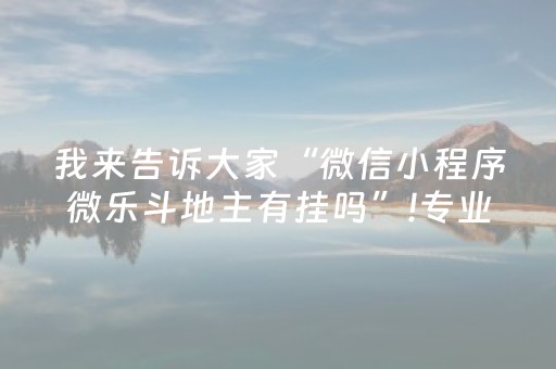 玩家实测“微乐家乡麻将有挂吗（专用辅牌神器免安装）