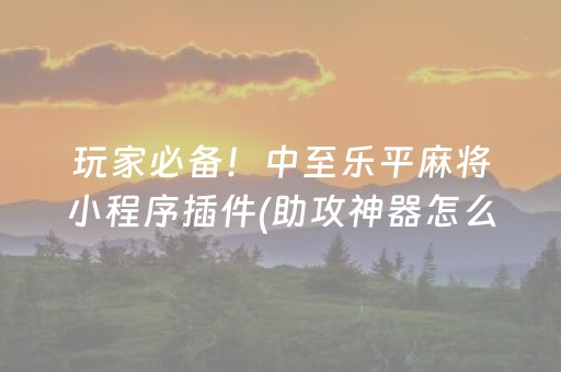 玩家必备！中至乐平麻将小程序插件(助攻神器怎么才会赢)
