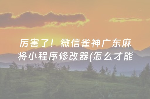 厉害了！微信雀神广东麻将小程序修改器(怎么才能起到好牌)