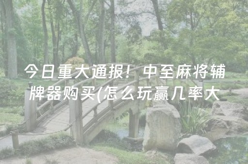 教程辅助“微乐麻将铺牌器2025（专用辅牌神器免安装）