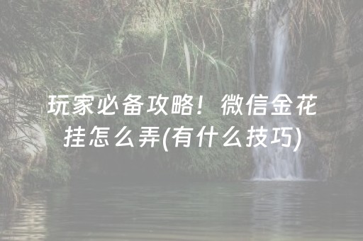 玩家必备攻略！微信金花挂怎么弄(有什么技巧)