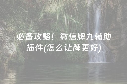必备攻略！微信牌九辅助插件(怎么让牌更好)